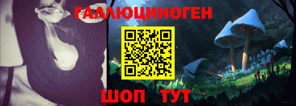 купить наркотики цена  Вход с VPN  Абинск  Галлюциногенные грибы Magic Shrooms 